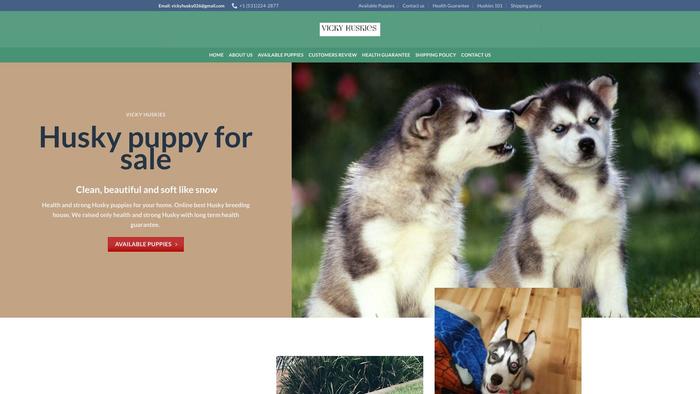 Vickyhuskies.com - Husky Puppy Scam Review