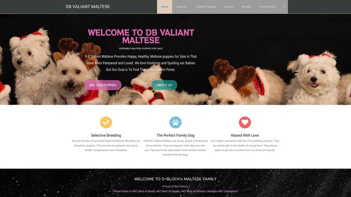 Vmaltesepuppies.com - Maltese Puppy Scam Review