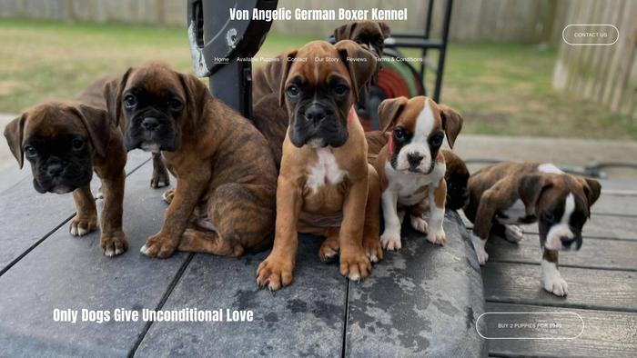 Vonangelicboxerkennel.com - Boxer Puppy Scam Review