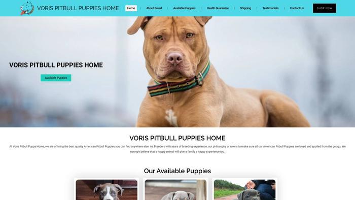 Vorispitbull.com - Pit Bull Puppy Scam Review