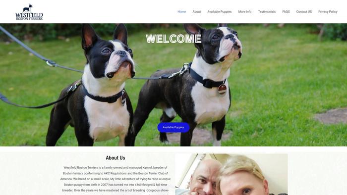 Westfieldbostonterriers.com - Terrier Puppy Scam Review