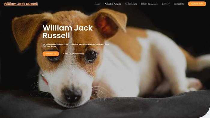 Williamjackrussell.com - Jack Russell Terrier Puppy Scam Review