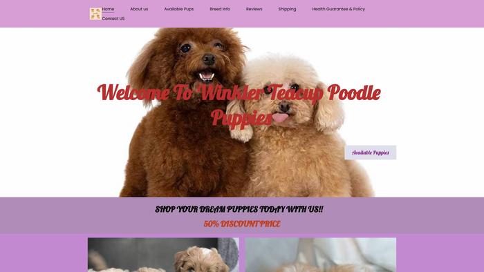 Winklerteacuppoodles.com - Poodle Puppy Scam Review