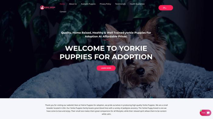 Yorkiepuppiesforadoption.net - Yorkshire Terrier Puppy Scam Review