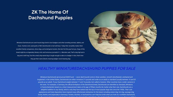 Zkdachshund.com - Dachshund Puppy Scam Review