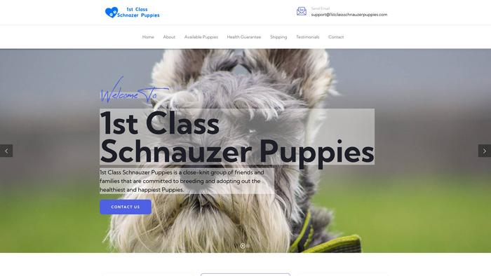 1stclassschnauzerpuppies.com - Schnauzer Puppy Scam Review