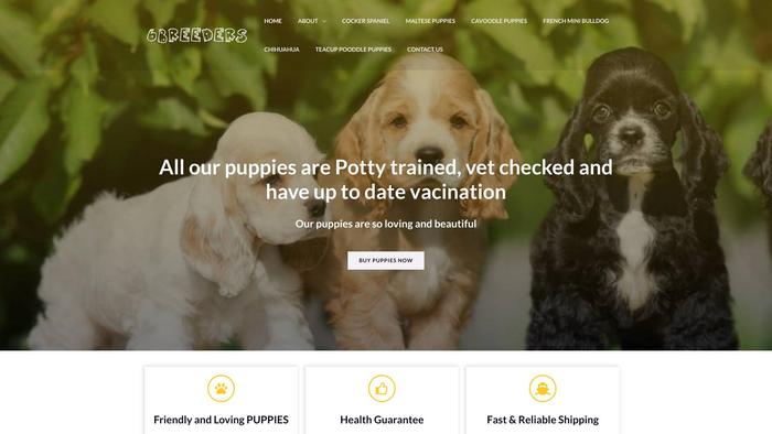 6sixbreederstogether.com - Maltipoo Puppy Scam Review