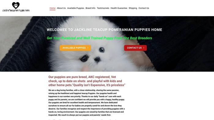 Acklineteacuppompuppieshome.com - Yorkshire Terrier Puppy Scam Review