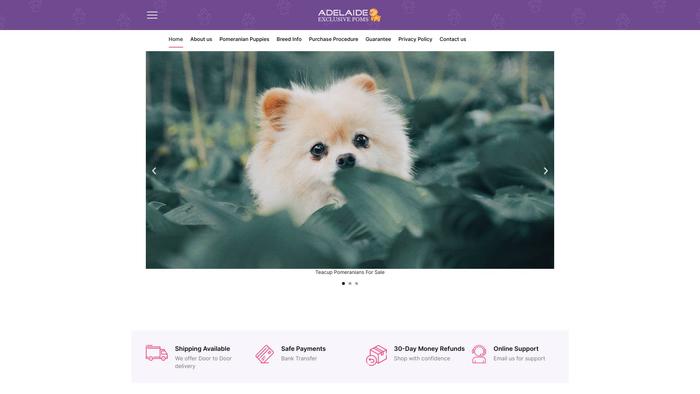 Adelaideexclusivepoms.shop - Pomeranian Puppy Scam Review