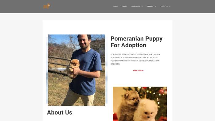 Adoptpomeranianpuppy.com - Pomeranian Puppy Scam Review