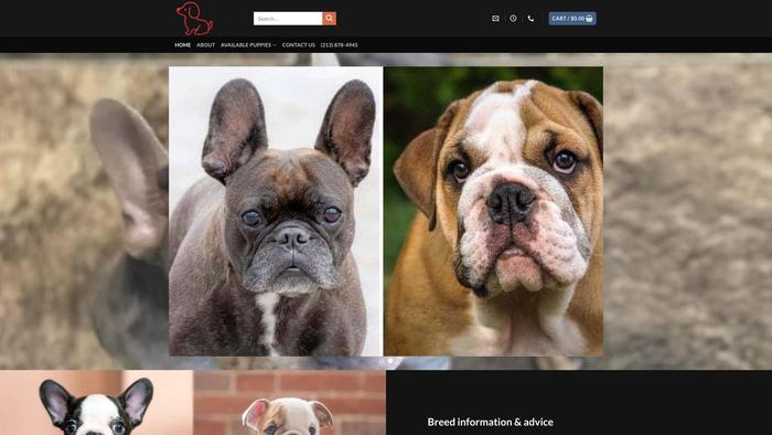 Adorablebulldogpuppies.com - Bulldog Puppy Scam Review