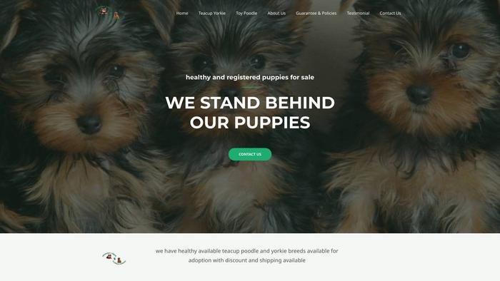 Adorableyorkieandpoodlepuppies.com - Poodle Puppy Scam Review