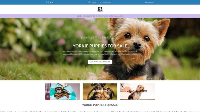 Adorableyorkiepups.xyz - Yorkshire Terrier Puppy Scam Review