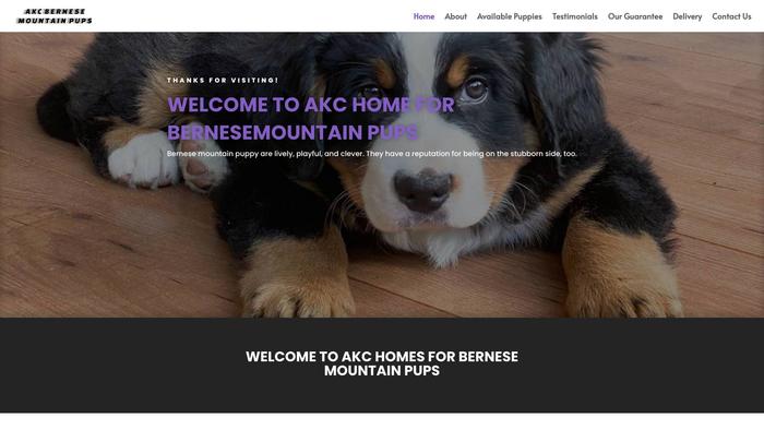 Akchomeforbernesemountainpups.com - Bernese Mountain Dog Puppy Scam Review