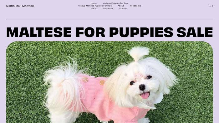 Alishamichelle.shop - Maltese Puppy Scam Review