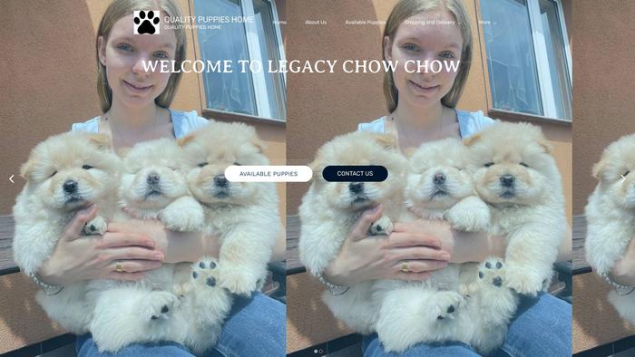 Apexchowchowpups.com - Chowchow Puppy Scam Review