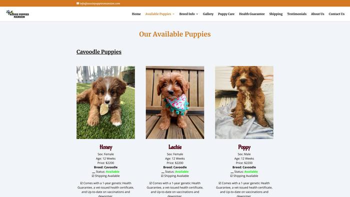 Aussiepuppiesmansion.com - Australian Shepherd Puppy Scam Review