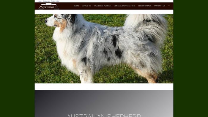 Australianshepherd-dogs.com - Germanshepherd Puppy Scam Review