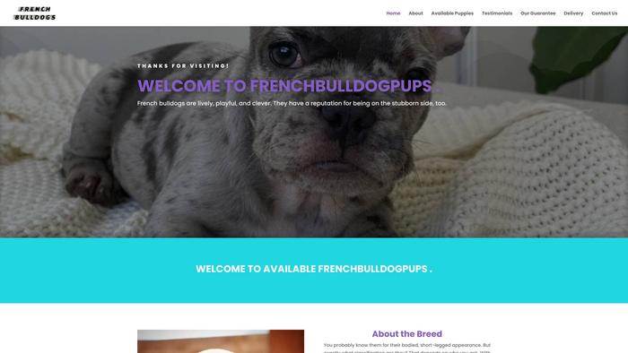 Avialablefrenchbulldogpups.com - French Bulldog Puppy Scam Review