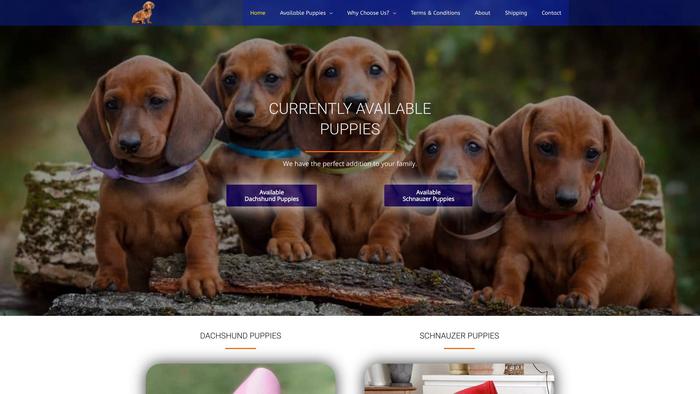 Babieddachshundandschnauzerhome.com - Dachshund Puppy Scam Review