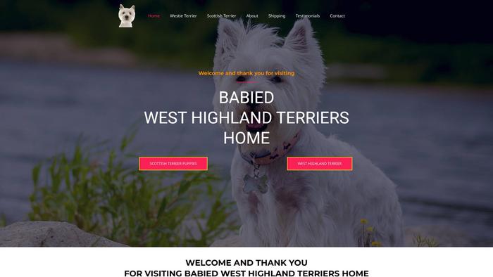 Babiedwesthighlandterrierhome.com - Terrier Puppy Scam Review