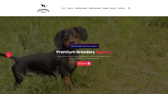 Belledachshundpupppies.com - Dachshund Puppy Scam Review