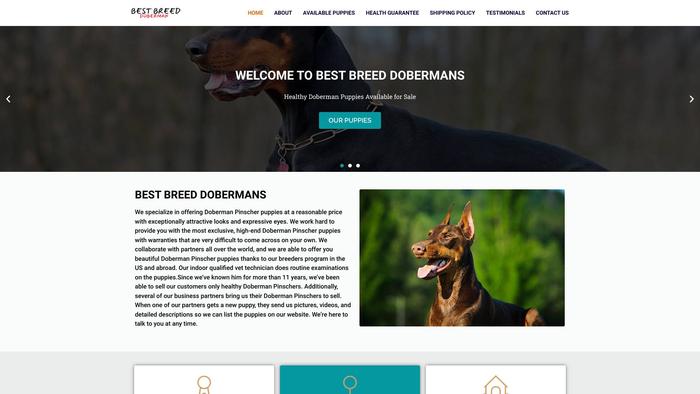 Bestbreeddobermans.com - Doberman Pinscher Puppy Scam Review