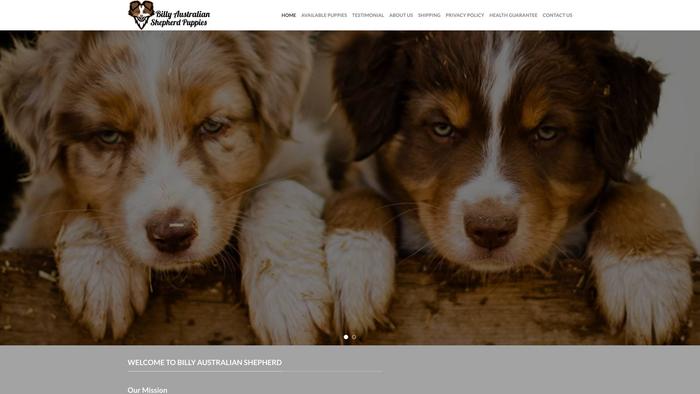 Billyaustralianshepherdpuppies.com - Germanshepherd Puppy Scam Review