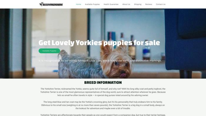 Blessyorkieheavens.com - Yorkshire Terrier Puppy Scam Review