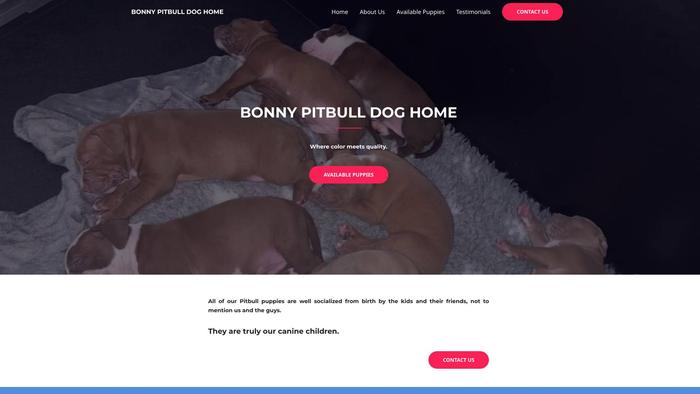 Bonnypitbulldoghome.com - Pit Bull Puppy Scam Review