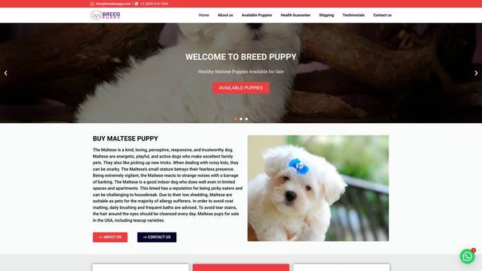 Breedspuppy.com - Maltese Puppy Scam Review