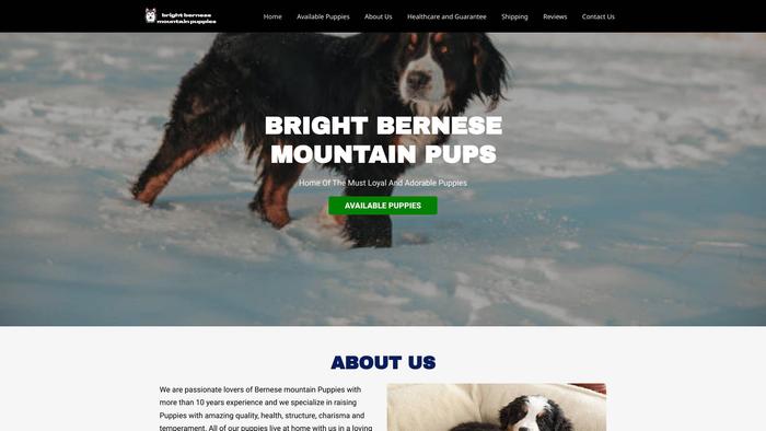 Brightbernesemountainpup.com - Bernese Mountain Dog Puppy Scam Review