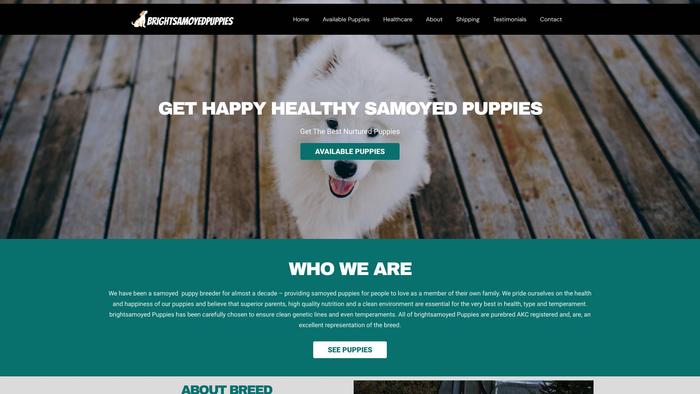 Brightsamoyedpuppies.com - Samoyed Puppy Scam Review