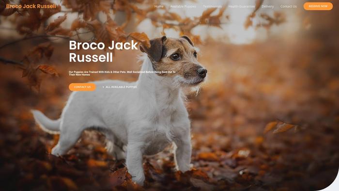 Brocojackrussell.com - Jack Russell Terrier Puppy Scam Review