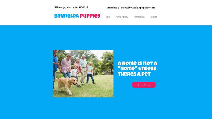 Bruneldapuppies.com - French Bulldog Puppy Scam Review