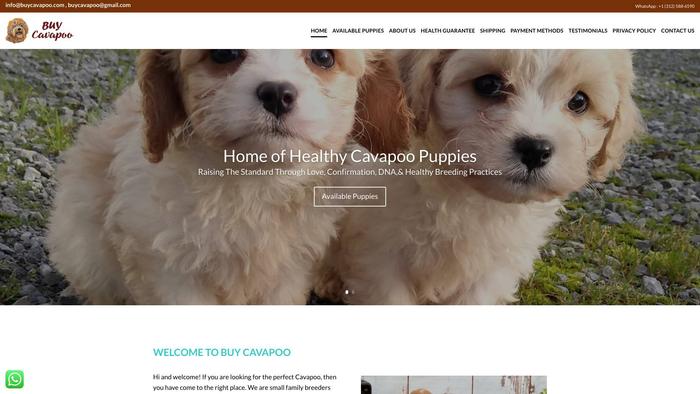 Buycavapoo.com - Cavapoo Puppy Scam Review