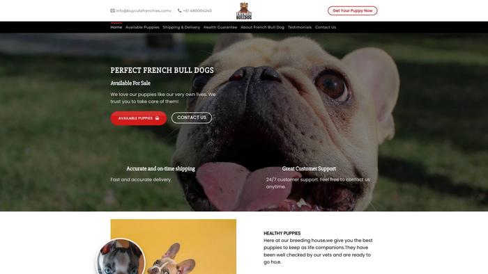 Buycutefrenchies.com - French Bulldog Puppy Scam Review