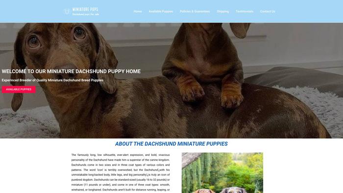 Buyminidachshundpet.com - Dachshund Puppy Scam Review