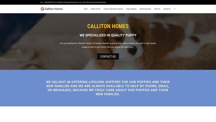 Callitonhomes.com - Cavalier King Charles Spaniel Puppy Scam Review