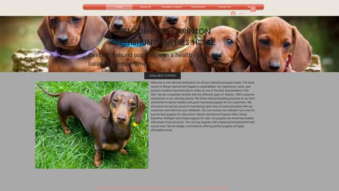 Carintonlovelydachshundpups.com - Dachshund Puppy Scam Review