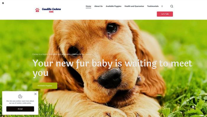 Caucokspaniels.com - Spaniel Puppy Scam Review