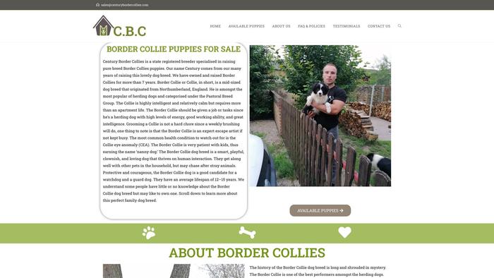 Centurybordercollies.com - Bordercollie Puppy Scam Review