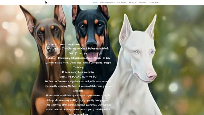 Champgatedob.world - Great Dane Puppy Scam Review