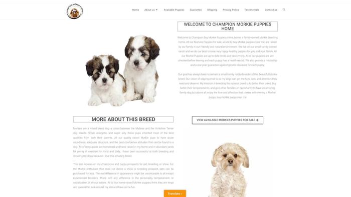 Championmorkiepuppies.com - Yorkshire Terrier Puppy Scam Review