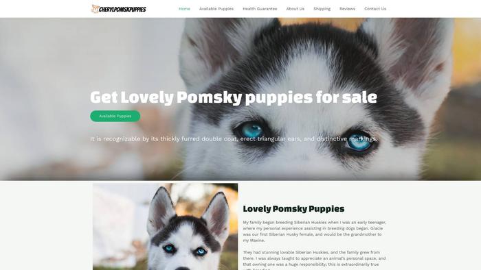 Cherylpomskpuppies.com - Pomeranian Puppy Scam Review