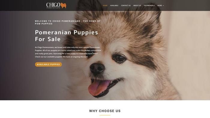 Chigopomeranian.com - Pomeranian Puppy Scam Review