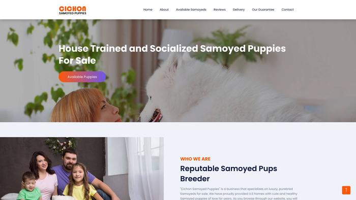 Cichonsamoyedpuppies.com - Samoyed Puppy Scam Review