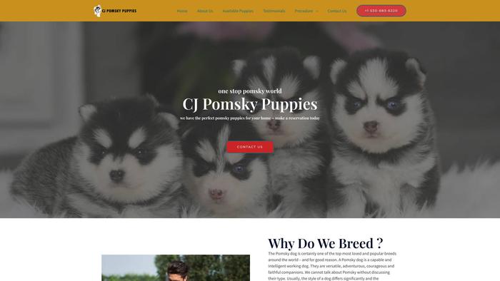 Cjpomskypuppies.com - Pomeranian Puppy Scam Review