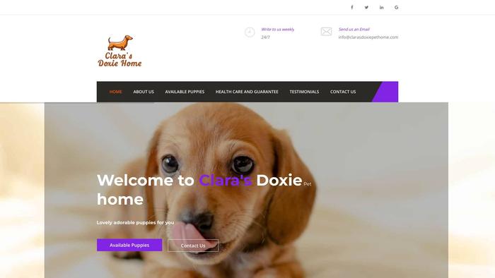 Clarasdoxiepethome.com - Dachshund Puppy Scam Review