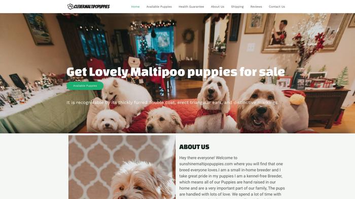 Clevermaltipopuppies.com - Maltipoo Puppy Scam Review